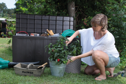 Сундук Шервуд (SHERWOOD) 270л., графит