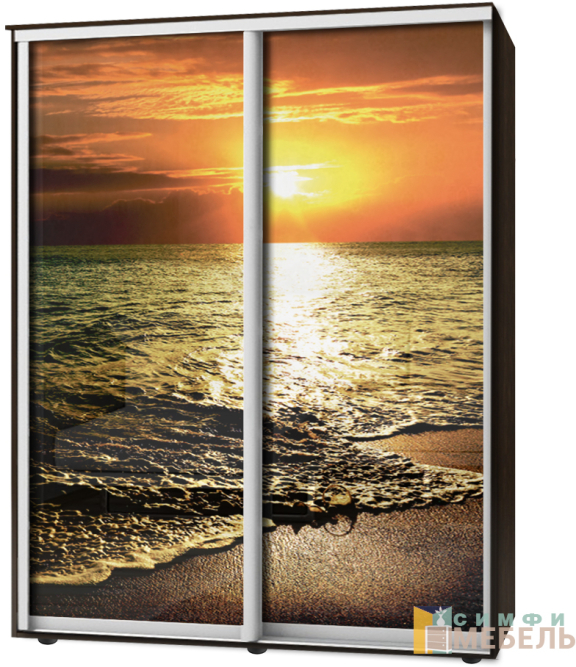 Шкаф-купе 2х дв Стандарт Фотопечать № 115