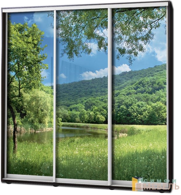 Шкаф купе 3х дв Фотопечать № 86