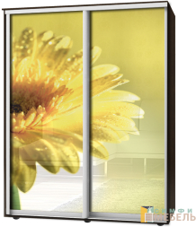 Шкаф-купе 2х дв Стандарт Фотопечать № 16