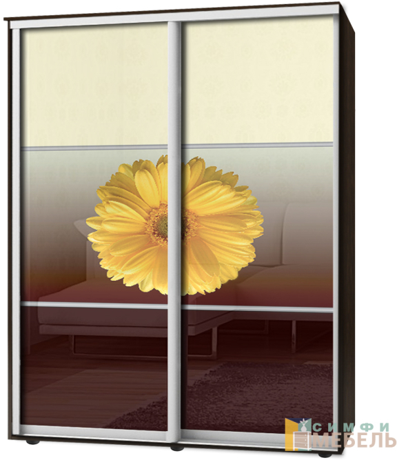 Шкаф-купе 2х дв Стандарт Фотопечать № 116