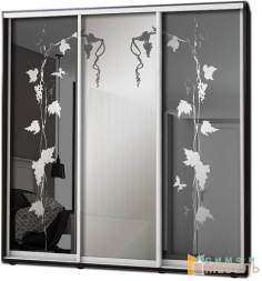 Шкаф купе 3х дв Пескоструй фон матовый № 35