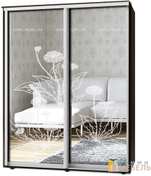 Шкаф-купе 2х дв Стандарт Пескоструй № 89