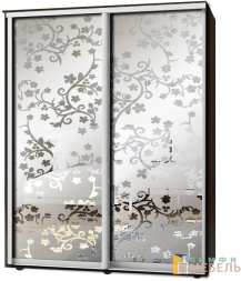 Шкаф-купе 2х дв Стандарт Пескоструй фон матовый № 26