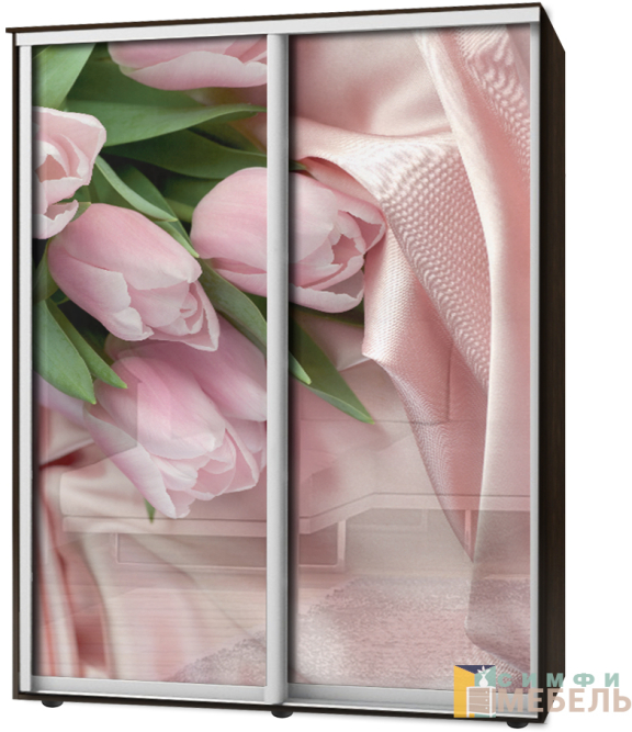 Шкаф-купе 2х дв Стандарт Фотопечать № 17