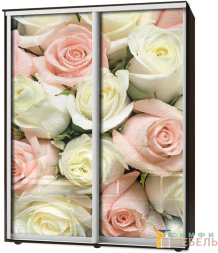 Шкаф-купе 2х дв Стандарт Фотопечать № 117