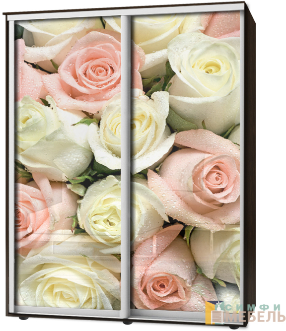 Шкаф-купе 2х дв Стандарт Фотопечать № 117