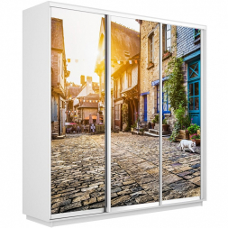 Шкаф-купе Экспресс 3-х дверный (Фото №1022 Улица)