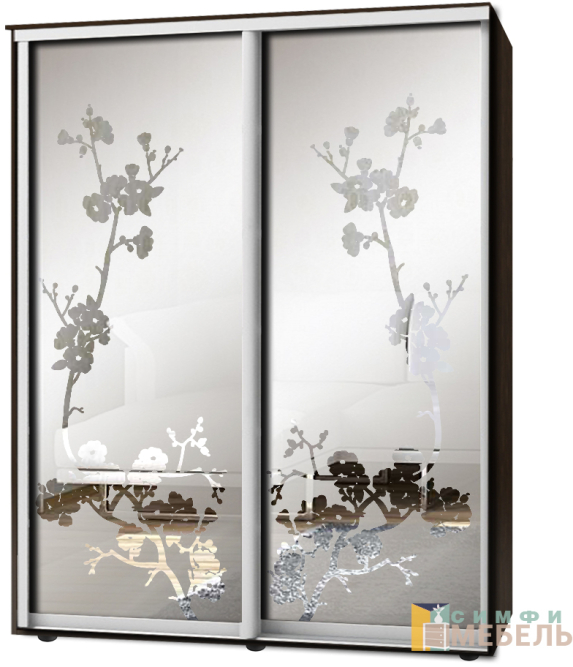 Шкаф-купе 2х дв Стандарт Пескоструй фон матовый № 27