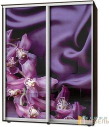 Шкаф-купе 2х дв Стандарт Фотопечать № 18