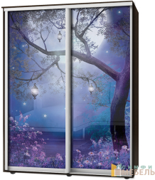 Шкаф-купе 2х дв Стандарт Фотопечать № 118