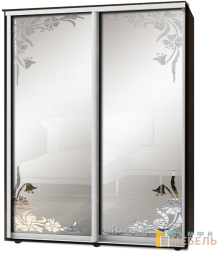 Шкаф-купе 2х дв Стандарт Пескоструй фон матовый № 28