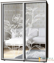 Шкаф-купе 2х дв Стандарт Пескоструй № 93
