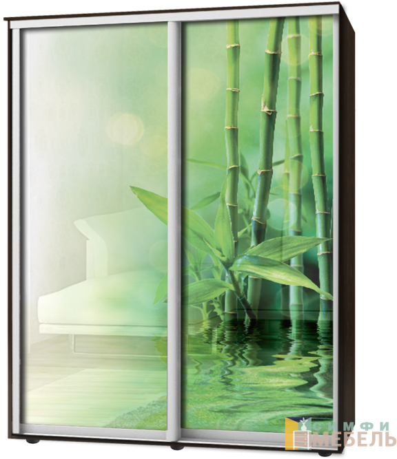 Шкаф-купе 2х дв Стандарт Фотопечать № 121