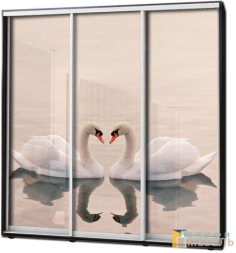 Шкаф купе 3х дв Фотопечать № 92