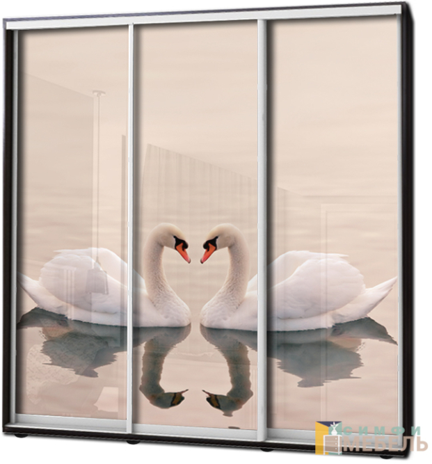 Шкаф купе 3х дв Фотопечать № 92