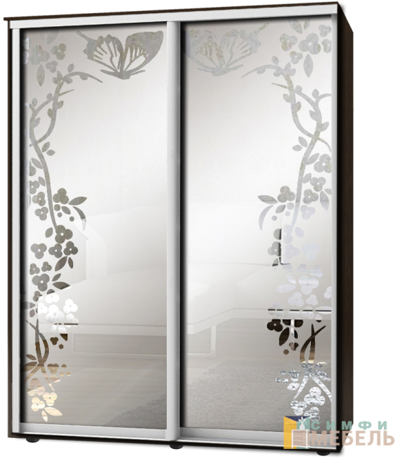 Шкаф-купе 2х дв Стандарт Пескоструй фон матовый № 31