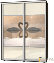 Шкаф-купе 2х дв Стандарт Фотопечать № 22