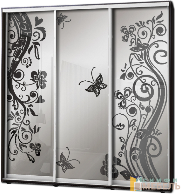 Шкаф купе 3х дв Пескоструй фон матовый № 41