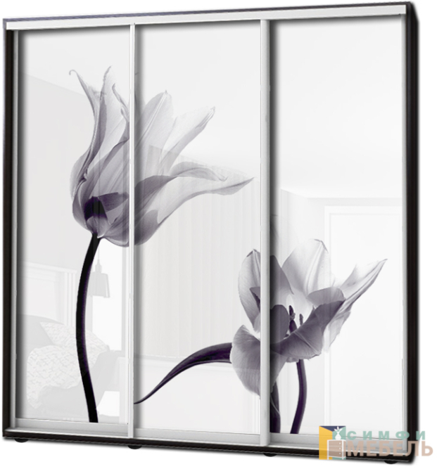 Шкаф купе 3х дв Фотопечать № 93