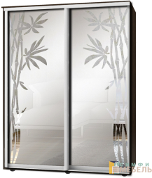 Шкаф-купе 2х дв Стандарт Пескоструй фон матовый № 32