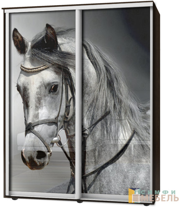 Шкаф-купе 2х дв Стандарт Фотопечать № 23