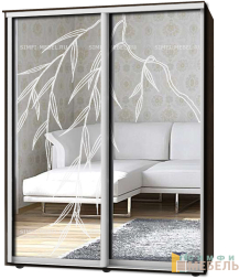 Шкаф-купе 2х дв Стандарт Пескоструй № 96