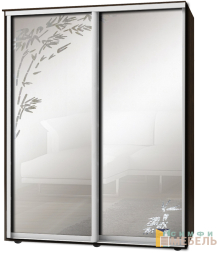 Шкаф-купе 2х дв Стандарт Пескоструй фон матовый № 33