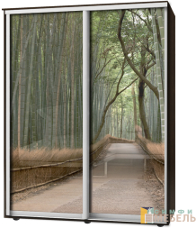 Шкаф-купе 2х дв Стандарт Фотопечать № 124