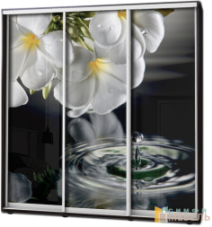 Шкаф купе 3х дв Фотопечать № 95