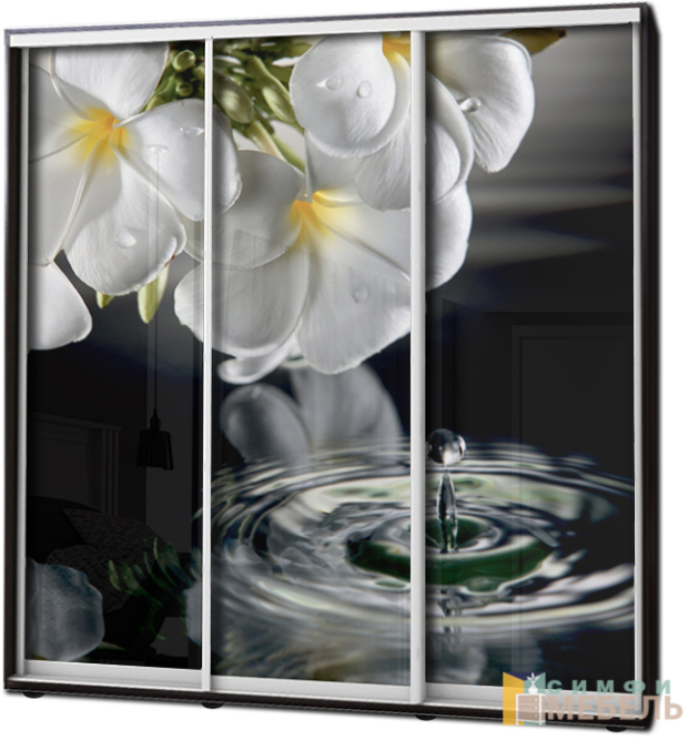 Шкаф купе 3х дв Фотопечать № 95