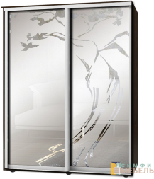 Шкаф-купе 2х дв Стандарт Пескоструй фон матовый № 34