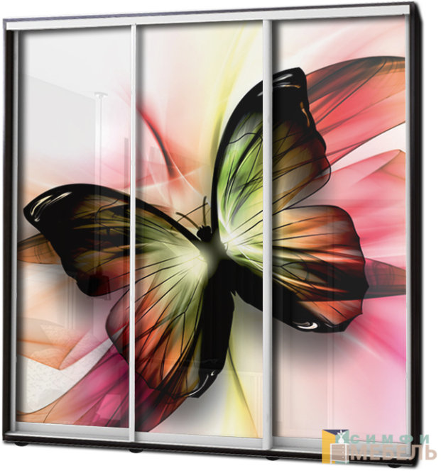 Шкаф купе 3х дв Фотопечать № 96