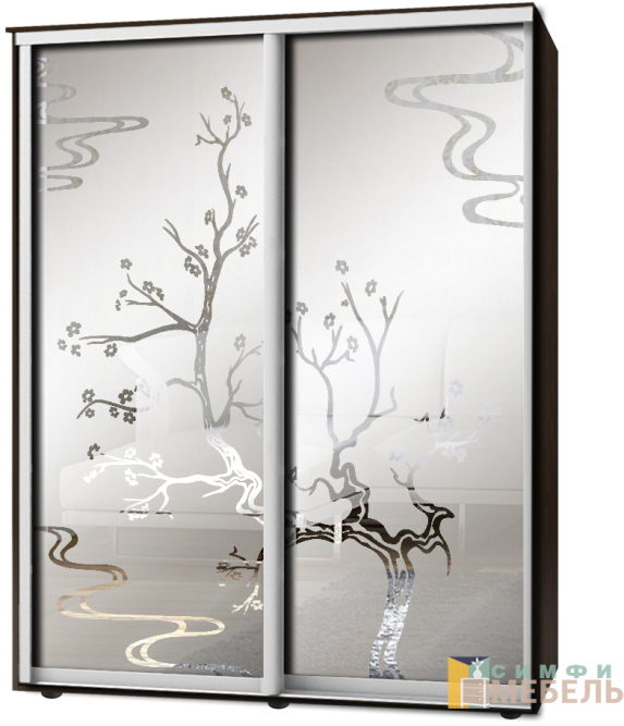 Шкаф-купе 2х дв Стандарт Пескоструй фон матовый № 35