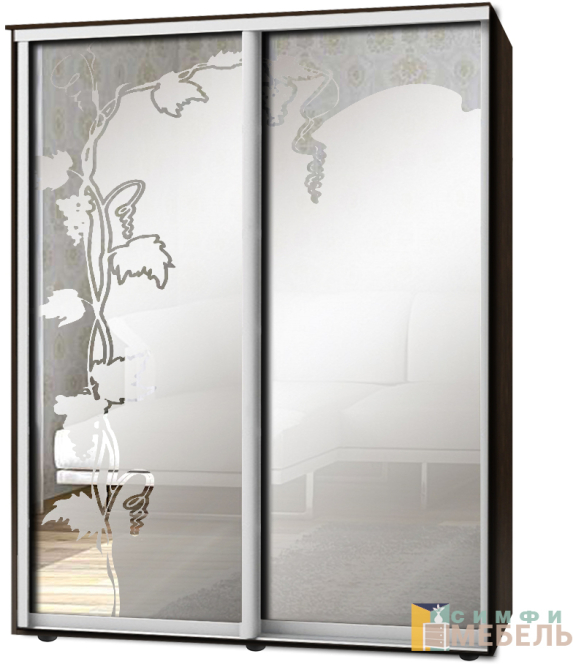 Шкаф-купе 2х дв Стандарт Пескоструй фон матовый № 36