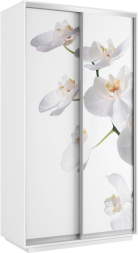 Шкаф-купе Хит (Фото)