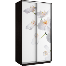 Шкаф-купе Хит (Фото)