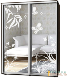 Шкаф-купе 2х дв Стандарт Пескоструй № 100