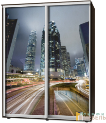 Шкаф-купе 2х дв Стандарт Фотопечать № 28