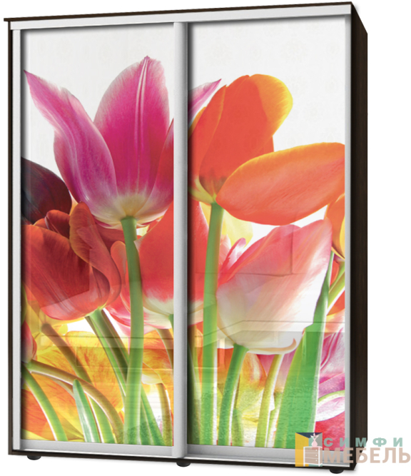 Шкаф-купе 2х дв Стандарт Фотопечать № 128
