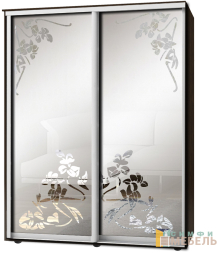 Шкаф-купе 2х дв Стандарт Пескоструй фон матовый № 38