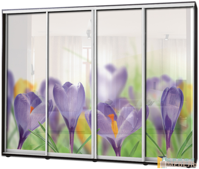 Шкаф купе 4х дв Фотопечать № 21