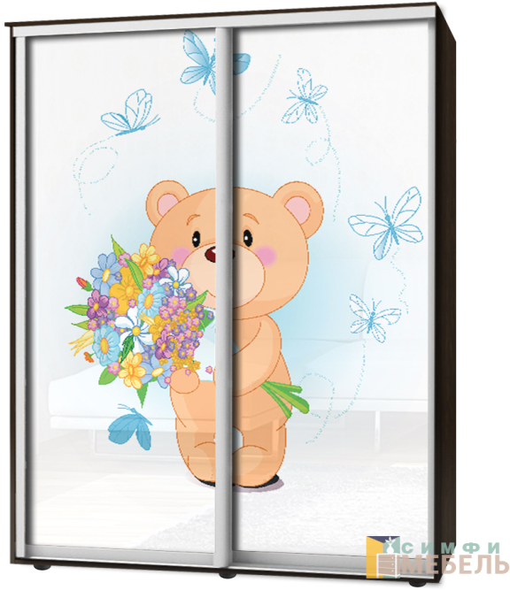 Шкаф-купе 2х дв Стандарт Фотопечать № 130