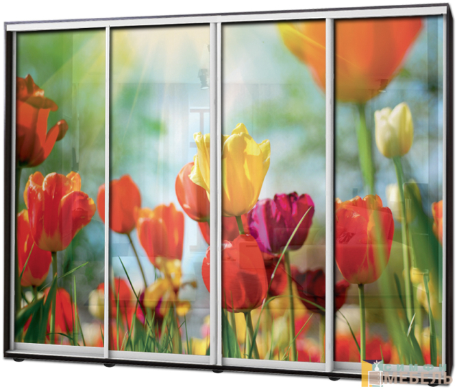 Шкаф купе 4х дв Фотопечать № 22