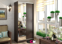 Шкаф-купе Альянс