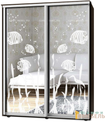 Шкаф-купе 2х дв Стандарт Пескоструй № 5