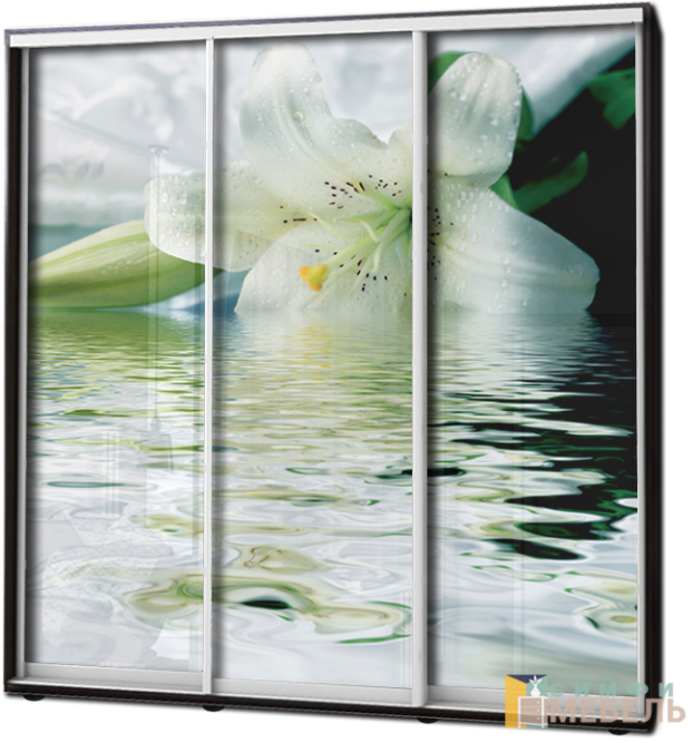 Шкаф купе 3х дв Фотопечать № 2
