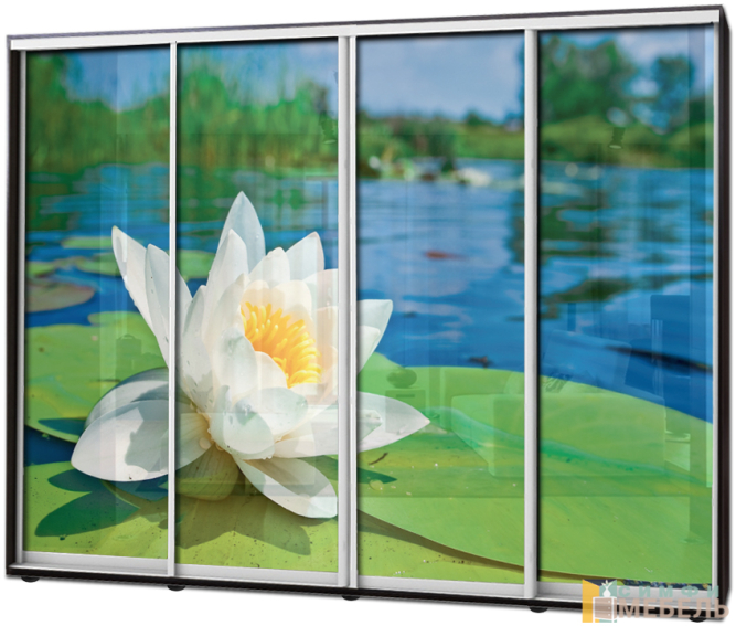 Шкаф купе 4х дв Фотопечать № 23