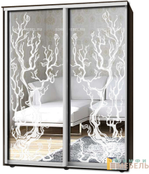 Шкаф-купе 2х дв Стандарт Пескоструй № 6