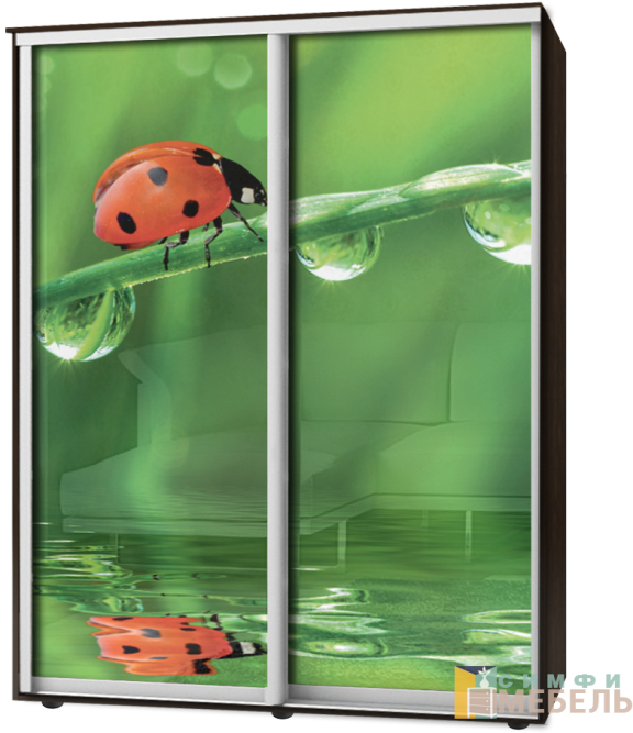 Шкаф-купе 2х дв Стандарт Фотопечать № 132